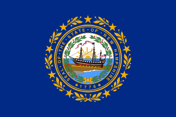 New Hampshire state flag